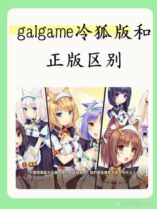 米莉亚战记冷狐汉化组缩略图