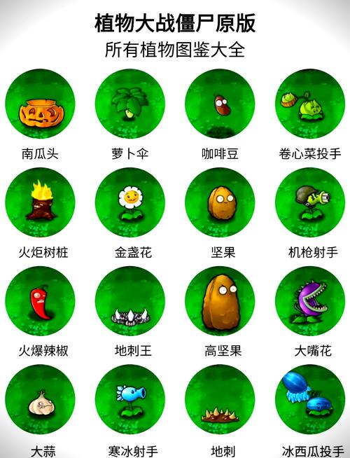 植物大战僵尸抗日版纯净版图标