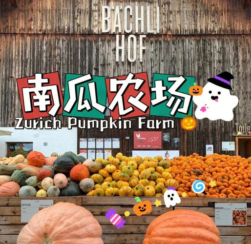 南瓜农场赚钱游戏缩略图