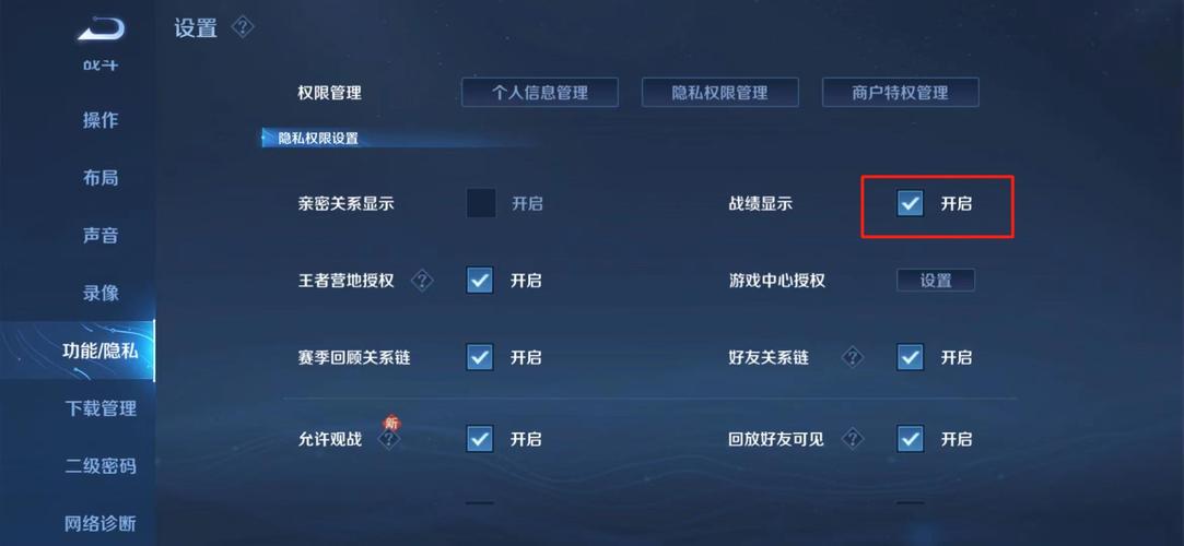 王者荣耀隐藏战绩查询助手