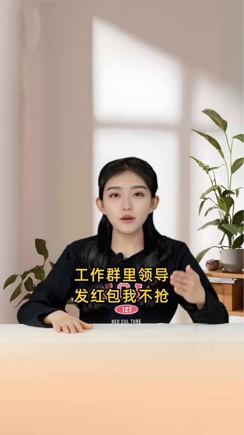 工作群里领导发红包我不抢无广告正版