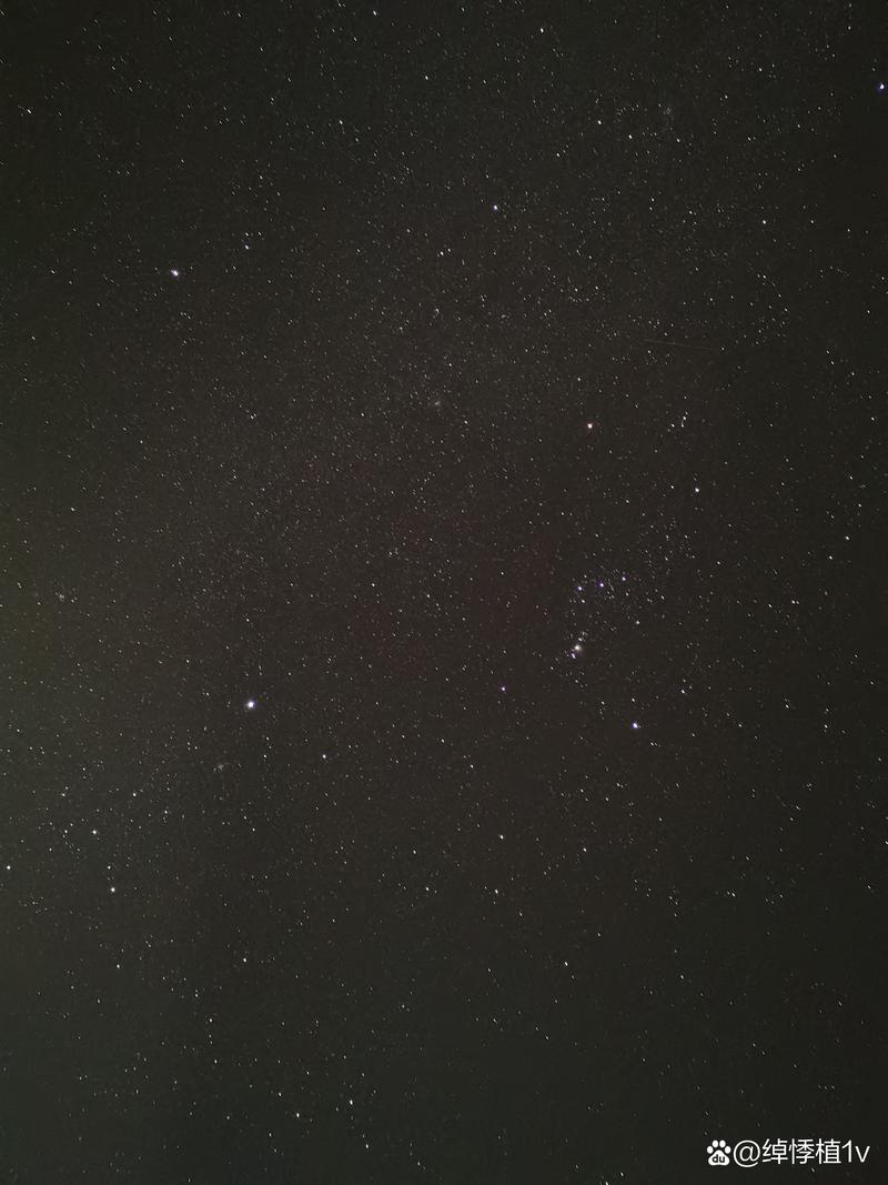 退魔师绫乃繁星汉化版黑色老版图标