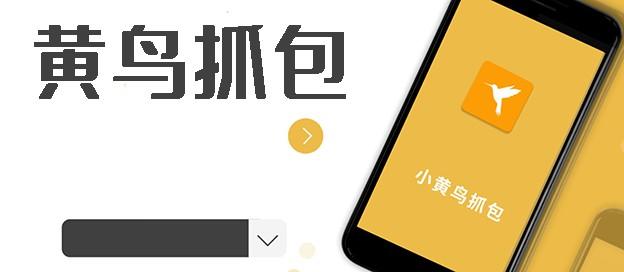 黄鸟抓包工具