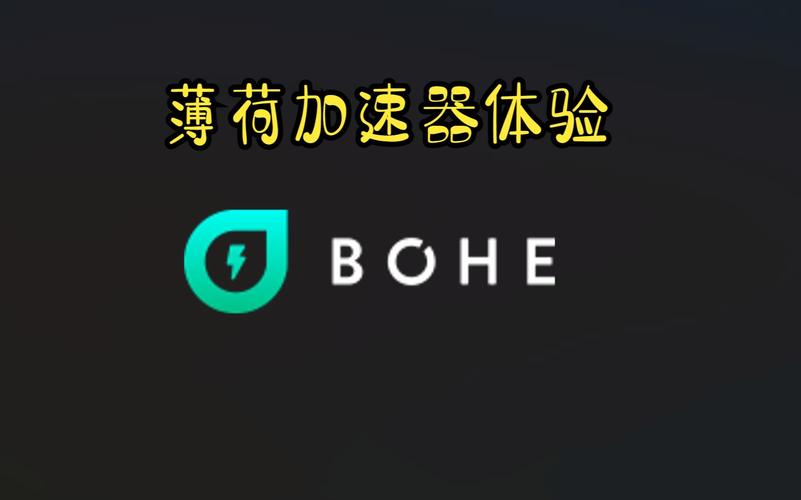 薄荷加速器加速失败怎么回事绿色版汉化版缩略图