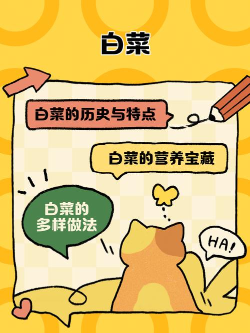 白菜阅读理解及答案缩略图