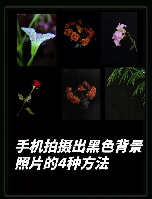 手机设置背景变黑色怎么调回来缩略图