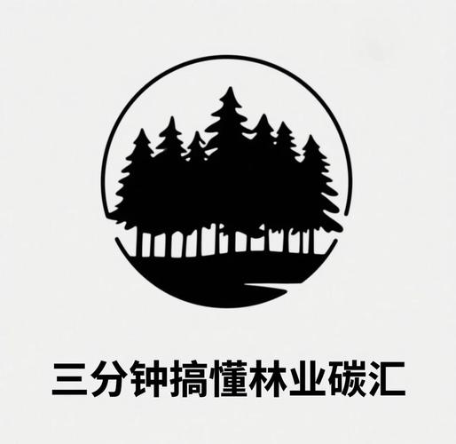 什么叫森林碳汇