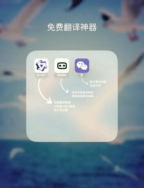 国外语言翻译软件加速永久