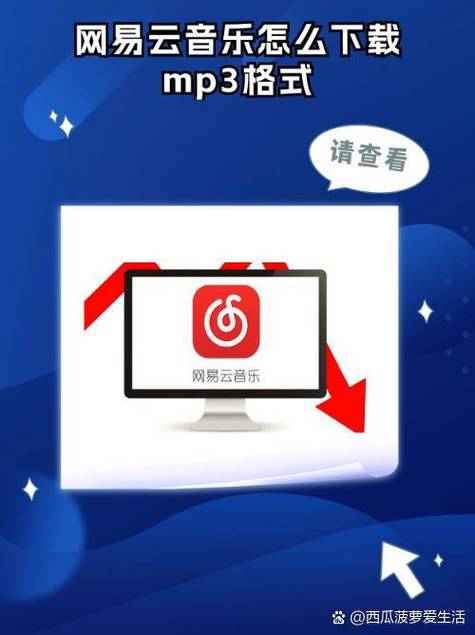 网易云app官方下载安装光环加速版