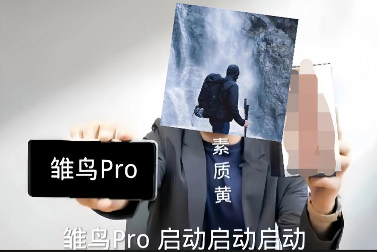 雏鸟pro2最新版安装包无限能量破解版