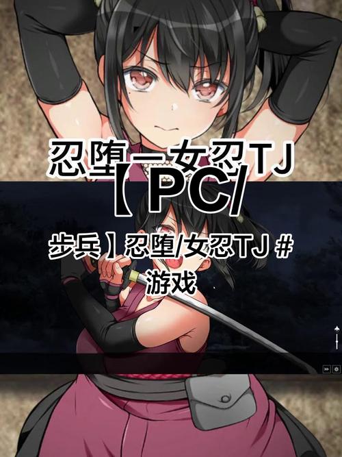 忍堕女忍汉化版安装教程