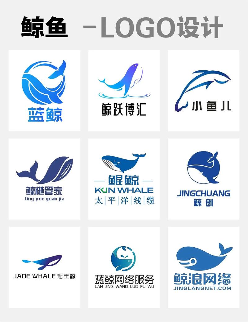 山东小鲸鱼网络科技有限公司图标