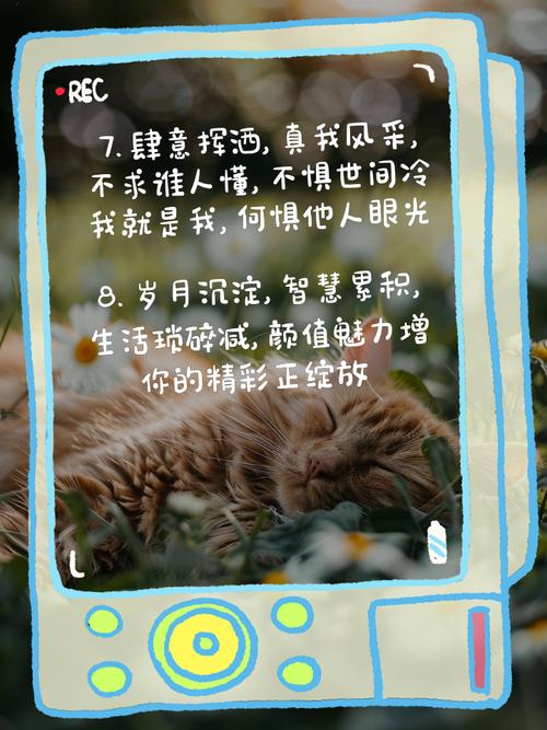 8090后最火文案短句