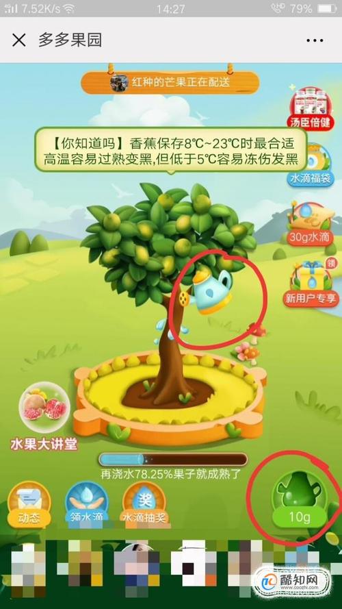 快乐小果园领水滴种水果
