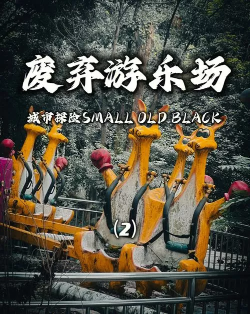 播放废弃游乐园的照片图标